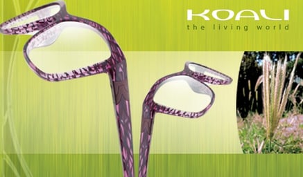 Koali Eyewear by Morel